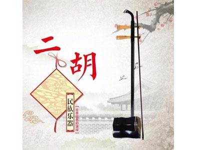 招聘昆明二胡家教老师